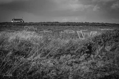 Landscapes-10