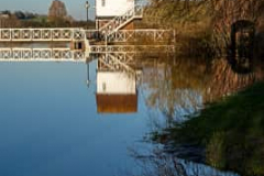 Landscapes-8