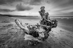 Landscapes-9