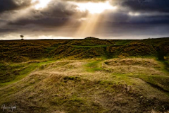 Landscapes
