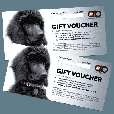 Gift Voucher