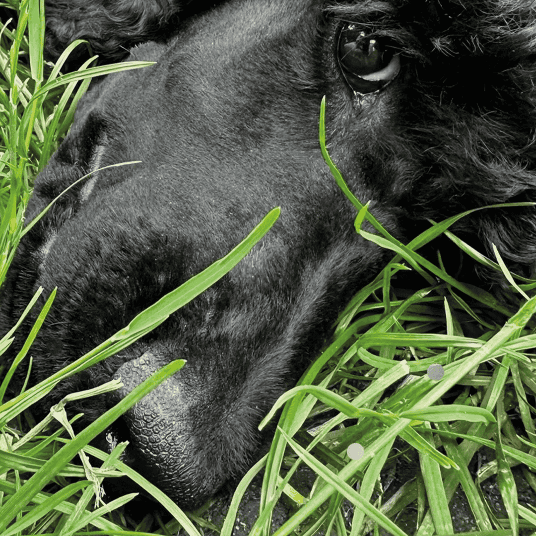 MDB Photography playtime